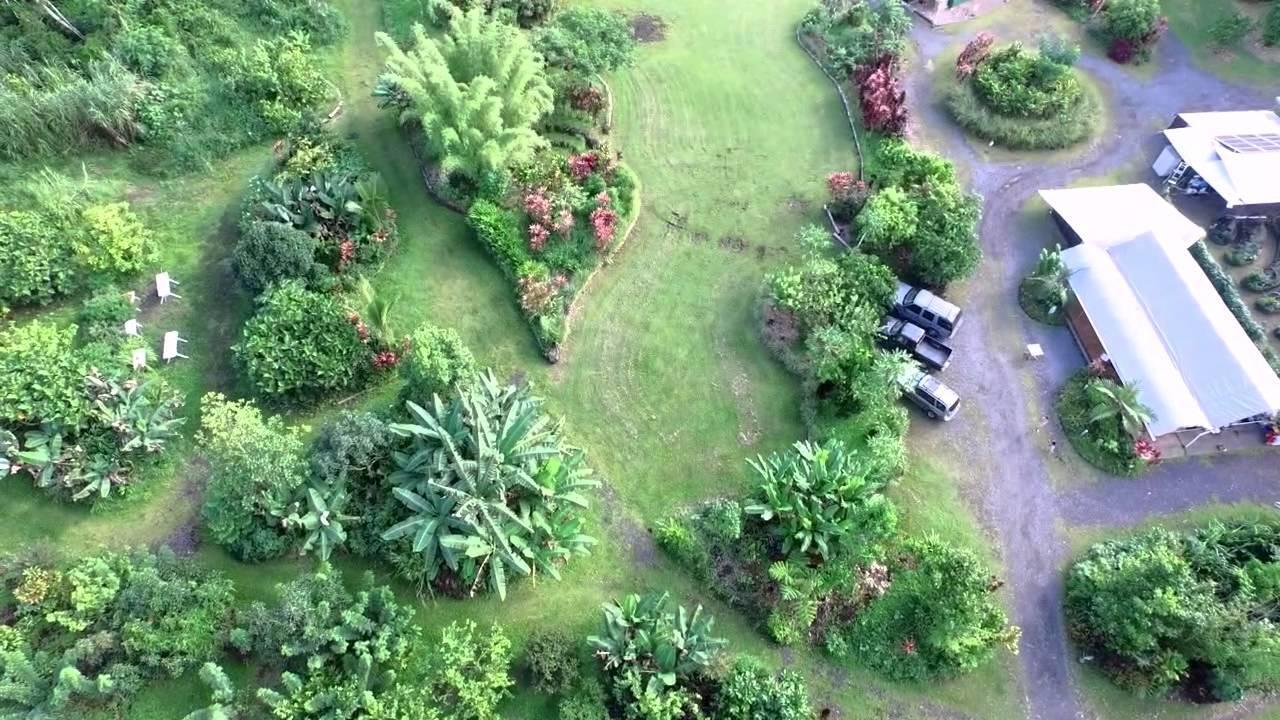 Vila Hawaiian Sanctuary Eco Retreat Center Pahoa Exteriér fotografie